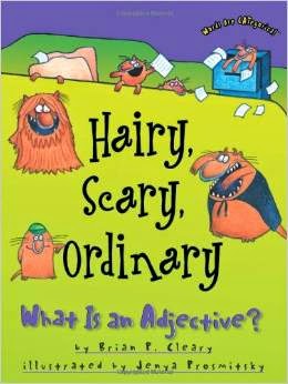 Hairy Scary Ordinary reading book