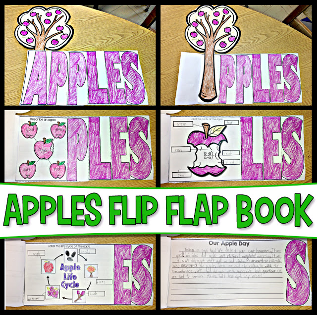 Apples Flip Flap Book finished example