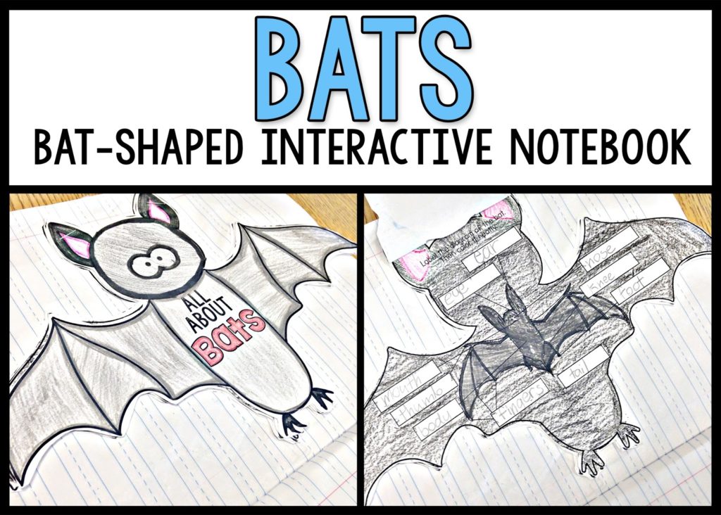 Bats shape it activity for your interactive notebooks