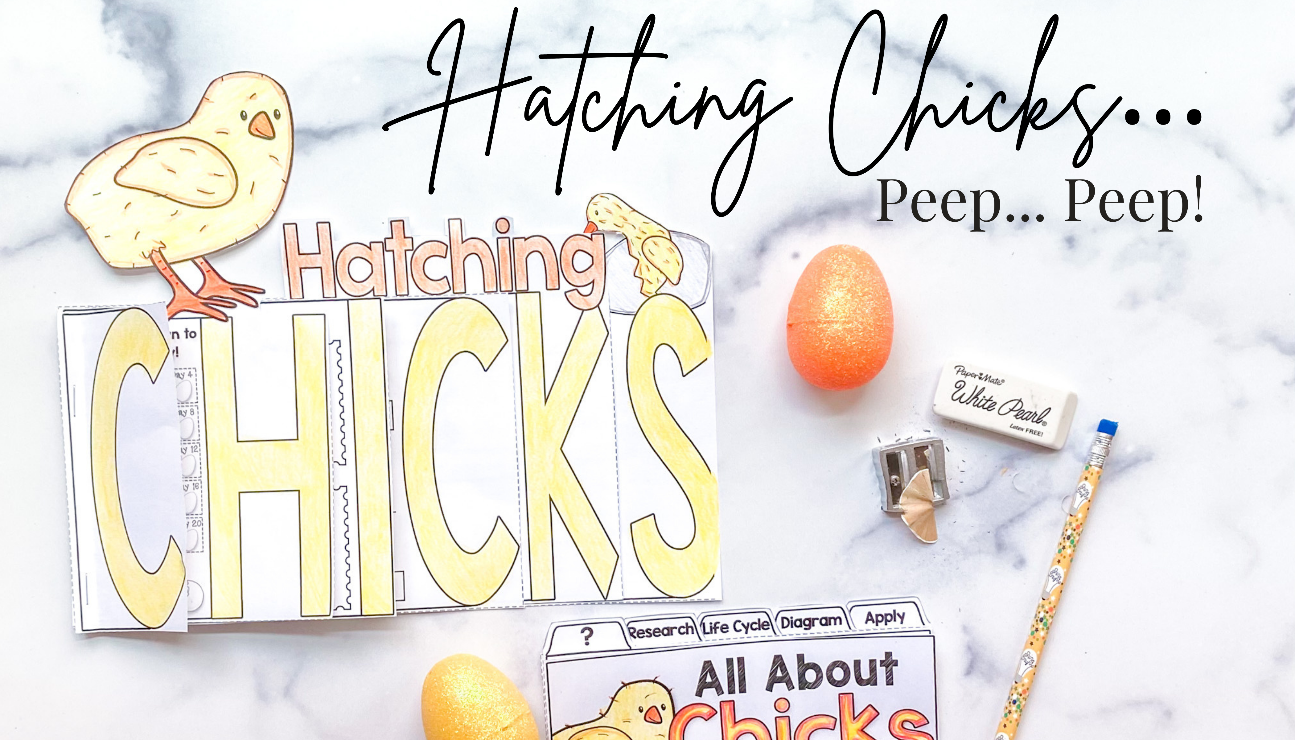 chicks featured blog image